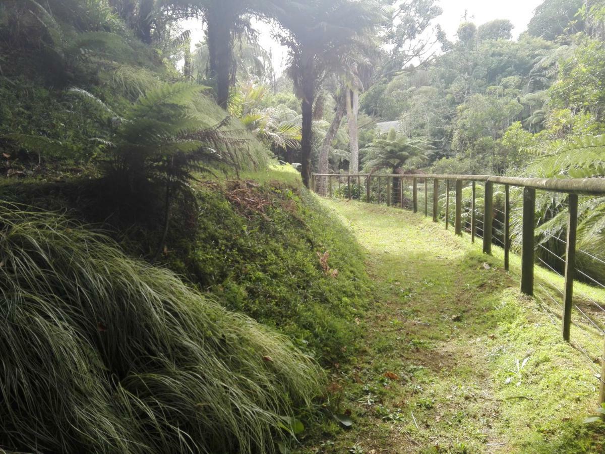 Taranaki Experience Apartment Ню Плимут Екстериор снимка